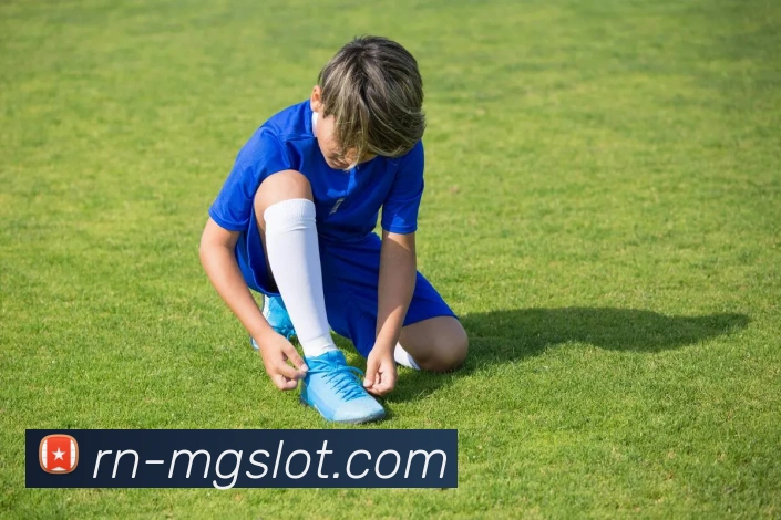 MG电子游戏官网平台生态图